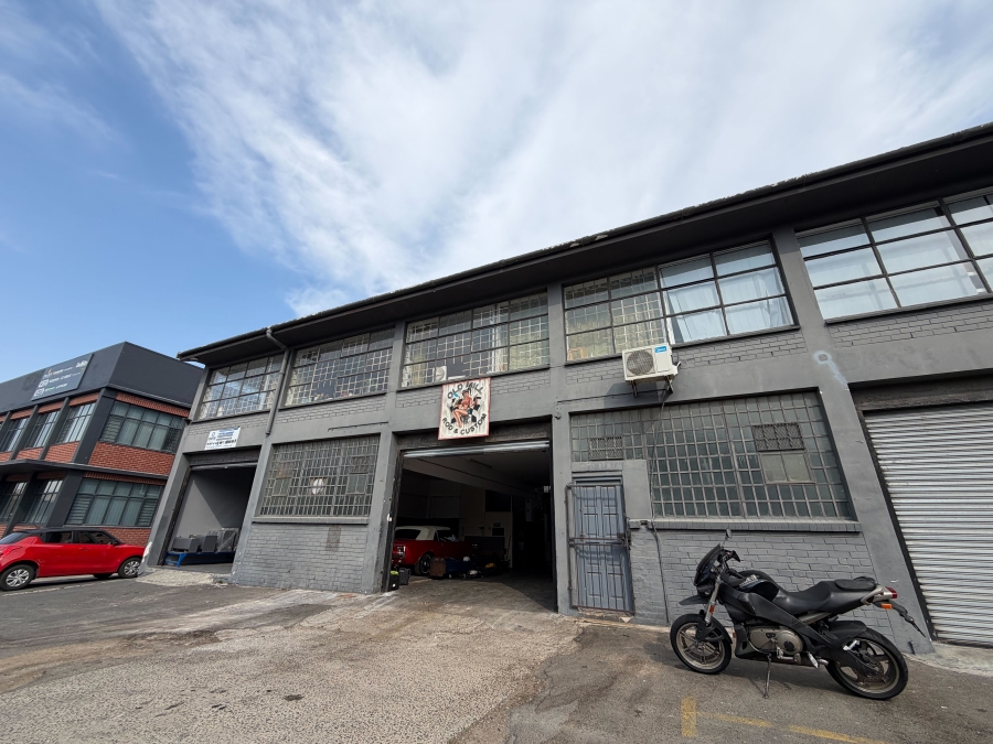 To Let Commercial Property for Rent in Paarden Eiland Western Cape